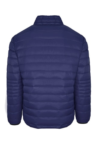 Doudoune - Blanc et bleu