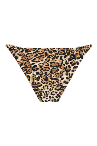 Cuecas de biquíni Leopardo - Castanho