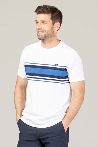 Camiseta - Blanco y azul