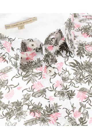 Camisa regular fit Quauet - Blanco y verde