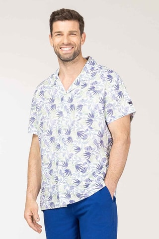 Camisa - Blanco, azul y verde