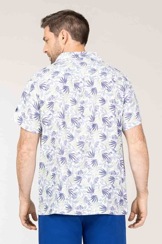 Camisa - Blanco, azul y verde