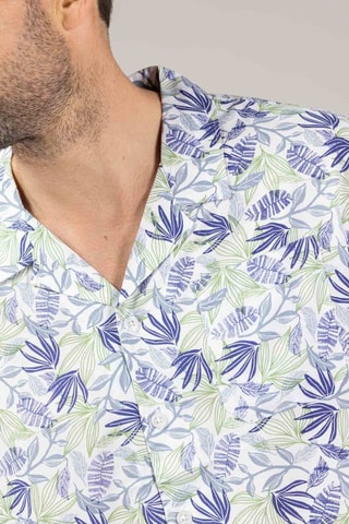 Camisa - Blanco, azul y verde