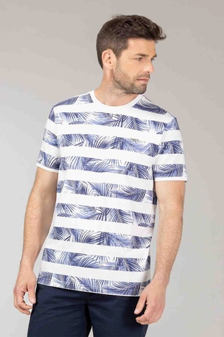 Camiseta - Azul y gris