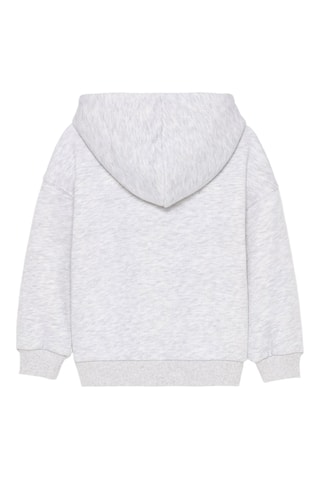 Sweater met Capuchon - Gemêleerd Lichtgrijs