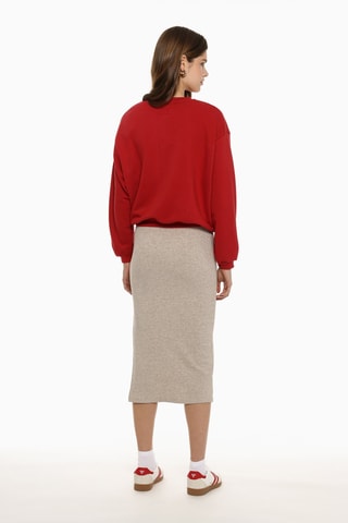 Rok Hoge Taille - Gemêleerd Beige