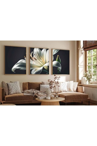 Tríptico - 70 x 50 cm