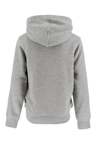 Sweat à capuche Varsity Rowing - Gris