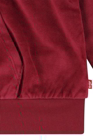 Sweat à capuche - Rouge