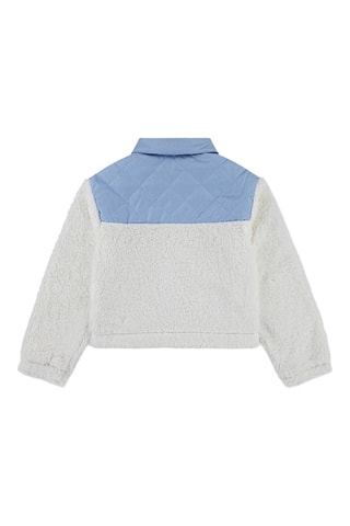 Veste - Blanc et bleu