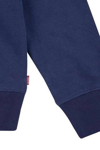 Sweat à capuche en coton biologique - Blanc et bleu