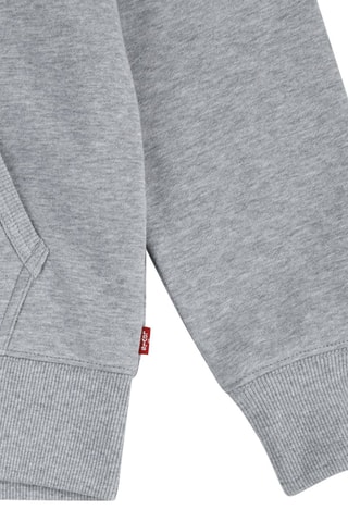 Sweat à capuche - Gris