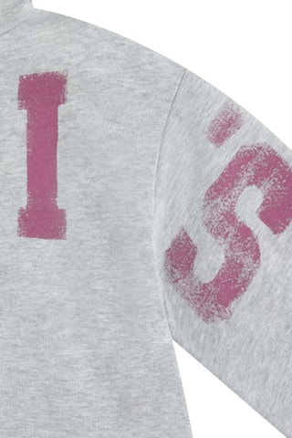 Sweat à capuche - Gris