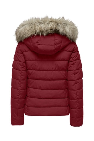 Doudoune à capuche - Bordeaux