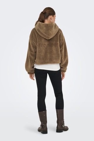 Sweat à capuche - Marron