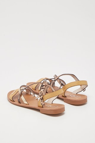 Sandalias Dazio - Beige y marrón