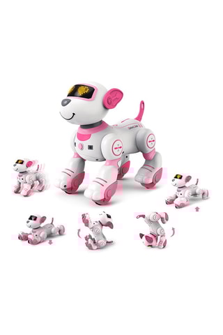 Hond TechKidz - Afstandsbediening - Roxy