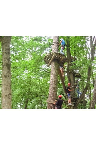 Émotions en famille