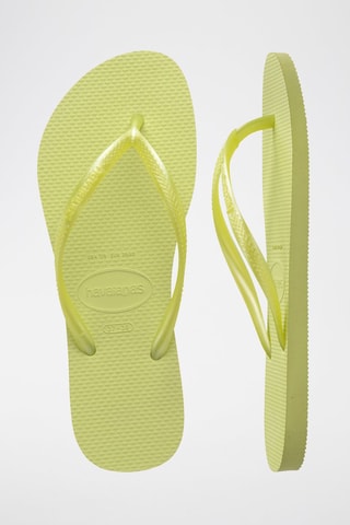 Chanclas Slim - Verde claro