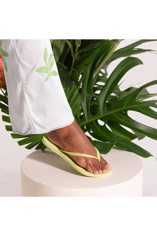 Chanclas Slim - Verde claro