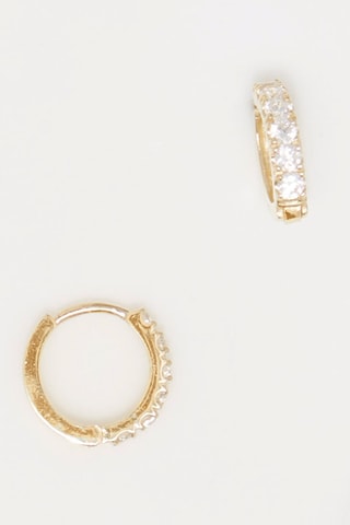 Criollas Quality - Oro amarillo