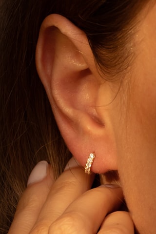 Criollas Quality - Oro amarillo