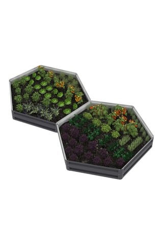 2 huertos hexagonales - 138,5 x 120 x 20 cm