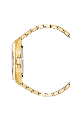 Reloj automático de acero Raidillon Skeleton II - Dorado y gris