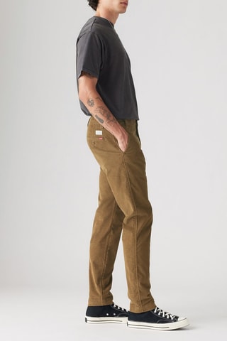 Pantaloni chino in velluto - Marrone