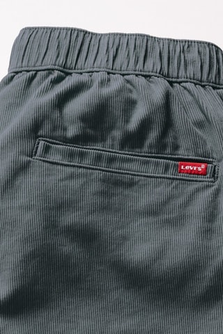 Pantaloni in velluto - Grigio scuro
