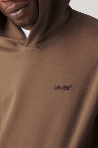 Felpa in pile con cappuccio The Authentic - Taupe