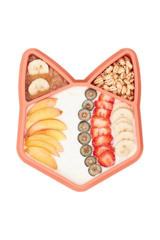 Bord van silicone zonder BPA Renard Isy'Plate - 3 Compartimenten - Vanaf 4 maanden