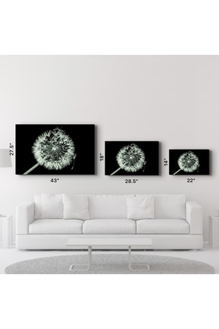 Tableau - 46 x 72 cm