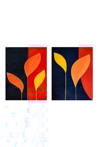 2 tableaux - 40 x 50 cm