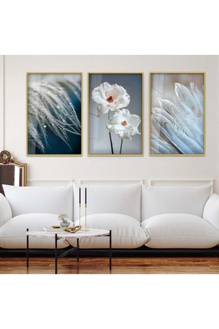 3 tableaux en verre trempé - 30 x 40 cm