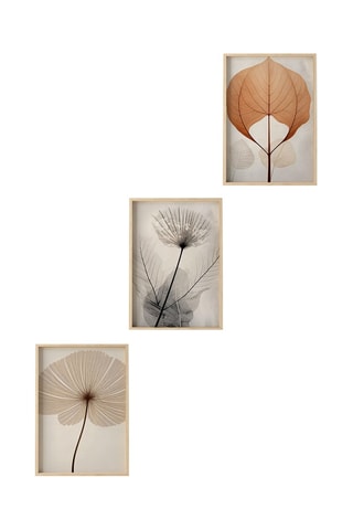 3 tableaux - 50 x 70 cm