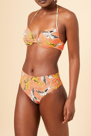 Bikinibroekje Africa Koraalrood