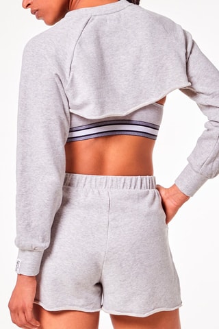 Korte Sweater Alexei Grijs