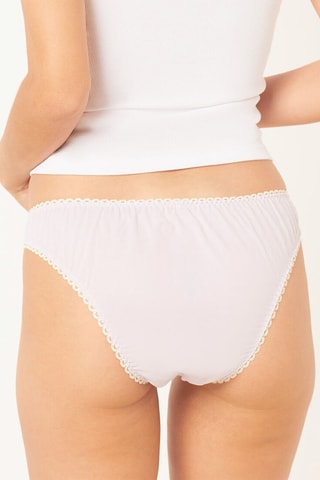 Culotte Jojoba - Mauve et jaune