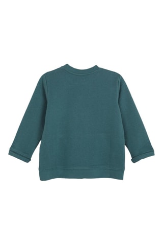 Sweater - Groen - Wit en groen