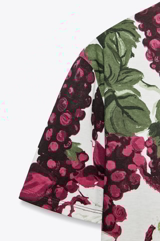 T-shirt - Blanc et bordeaux