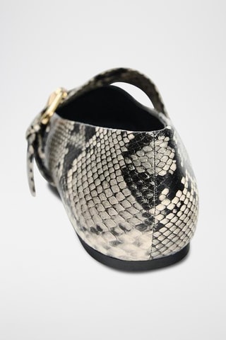 Babies - Gris et noir