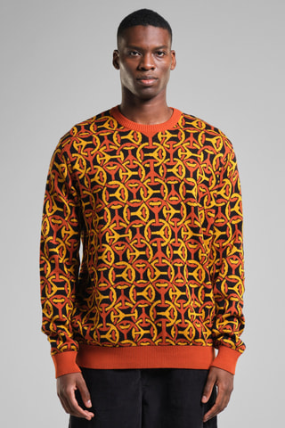 Camisola em algodão biológico - Multicor