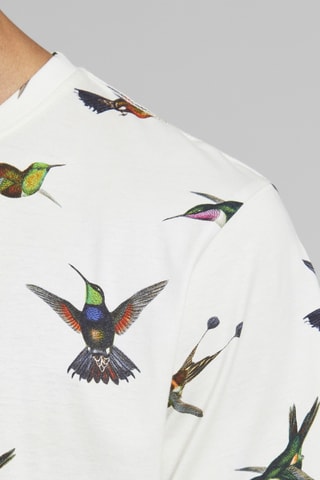 T-shirt regular em algodão biológico - Branco