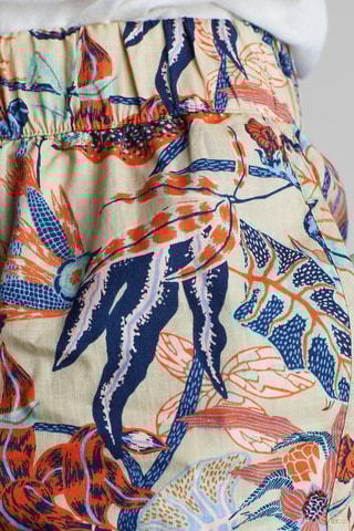 Calções em algodão biológico - Multicor