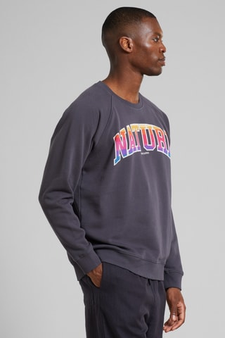 Sweat em algodão biológico - Cinzento-escuro