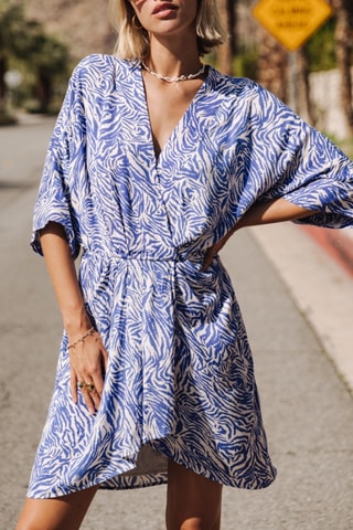 Robe Roza Zebrure - Bleu