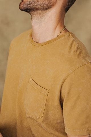 T-shirt Flavio Illinois - Marron