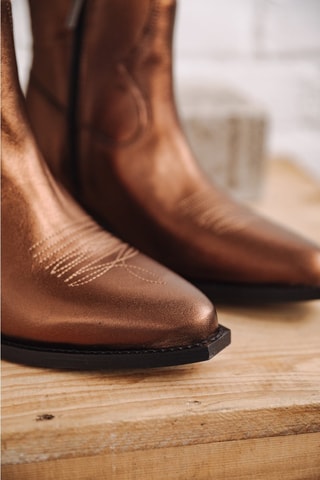 Bottines en cuir Sixtin Metal - Marron