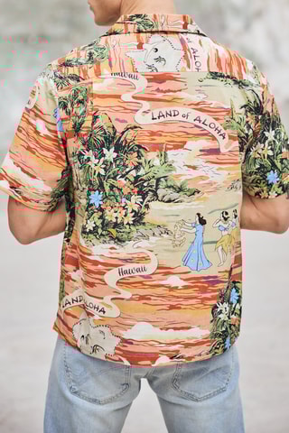 Chemise - Vert et orange